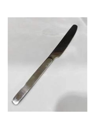 WINSOR STAINLESS STEEL DESSERT KNIFE