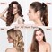 Silklo Silk Scrunchies, 100% Pure Mulberry Hair Ties 22 Momme Anti Hair Loss No Breakage Anti Crease Anti Frizz Hair Accessories Black Elastic Hair Band for Women Girls Hair Care 4Pcs (Chocolate)