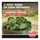 Al Ain Finely Chopped Spinach, 400g
