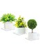Small Adhesive Wall Shelves, 3-Ledges, Acrylic Display Shelf Flexible Use of Wall Space