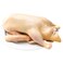 Fresh Whole Duck