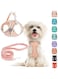 Small Dog Harness and Leash Set, No Pull Adjustable Reflective Breathable Mesh Step in Dog Harness Easy Walk Dog Harness for Extra Small/Small Medium Dog Cats Puppy Outdoor Hiking Training (Pink XXS)