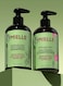 Mielle Rosemary Mint - Biotin Infused - Encourages Growth Hair Products for Stronger and Healthier Hair - Scalp &amp; Hair Oil - Shampoo &amp; New Conditioner Styling Bundle Set 3 PCS