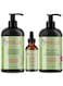Mielle Rosemary Mint - Biotin Infused - Encourages Growth Hair Products for Stronger and Healthier Hair - Scalp &amp; Hair Oil - Shampoo &amp; New Conditioner Styling Bundle Set 3 PCS