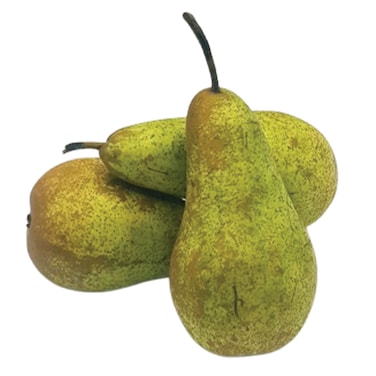 Conference Pear