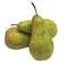 Conference Pear