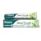 Himalaya Mint Fresh Herbal Toothpaste White 125g