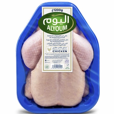 اليوم دجاج طازج 1.2 كغ