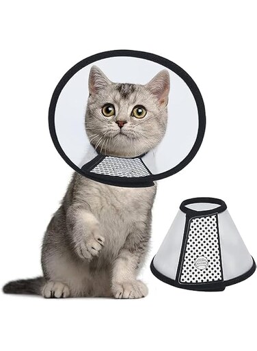 Recovery Pet Cone, Lightweight Plastic Collar for Cats and Mini puppies (Transparent, M(14.2"-16.5"))