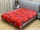 STARGOLD Cloudy 1 Ply Blanket 220x240cm Luxurious And Comfort, SG-BL2012