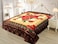 STARLIFE Double Ply Premium Korea Quality Blanket Made by 100% Polyester SPUN YARN Obtained From Virgin Polyester Which is Suitable For Winter And Rainy Season 220*240CM, SL-BL4402