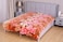 STARGOLD Blanket Single Ply Super Soft Luxury Cloudy Blanket Two Side Different Design 220*240CM 2.4KG, SG-BLC602