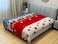 STARGOLD Blanket Single Ply Super Soft Luxury Cloudy Blanket Two Side Different Design 220*240CM 2.4KG, SG-BLC602