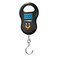 STARGOLD Portable Electronic Luggage Scale 50 KG Capacity, SG-WHM44