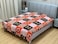 STARGOLD Blanket Single Ply Super Soft Luxury Cloudy Blanket Two Side Different Design 220*240CM 2.4KG, SG-BLC602