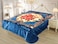 STARLIFE Single Ply Embossed Korea Quality Blanket 12 LBS 100% Polyester Suitable For Winter And Rainy Season 220*240CM, SL-BL4410