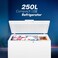 STARGOLD Chest Freezer 250L Single Door With Vegetable Crisper &amp; Adjustable Glass Shelves, Defrosting, Large Fridge for Home, Kitchen &amp; Hotels White