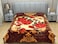 STARGOLD Single Ply Raschel Premium Quality Blanket Two Side Color 220CM &times; 240CM 12 LBS, Polyester Fabric Materials, SG-BL2051