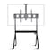 STARGOLD Mobile TV Trolley Stand, Heavy-Duty Adjustable TV Floor Mount For 60-110 Inch Maximum Load 100KG VESA 1000&times;600MM