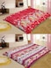 STARGOLD Blanket Single Ply Super Soft Luxury Cloudy Blanket Two Side Different Design 220*240CM 12LBS, SG-BLC606 A