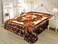 STARLIFE Single Ply Embossed Korea Quality Blanket 11 LBS 100% Polyester Suitable For Winter And Rainy Season 220*240CM, SL-BL4409