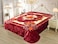 STARLIFE Single Ply Embossed Korea Quality Blanket 11 LBS 100% Polyester Suitable For Winter And Rainy Season 220*240CM, SL-BL4409