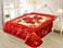 STARLIFE Single Ply Embossed Korea Quality Blanket 16 LBS 100% Polyester Suitable For Winter And Rainy Season 220*240CM, SL-BL4412