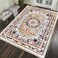 STARGOLD Luxurious Embossed Indoor Floor Carpet Bedroom and Living Room Rug Anti Slip Floor Carpets 200x300 cm SG-P015-A