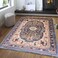 STARGOLD Luxurious Embossed Indoor Floor Carpet Bedroom and Living Room Rug Anti Slip Floor Carpets 200x300 cm SG-P015-A