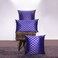 BYFT Orchard Cushion Cover 12 x 20 inch (Zig Zag Design - Royal Blue) 30 x 50 cm Luxury Decorative Cushion Cover for Sofa, Bed &amp; Living Room- Set of 2 without inserts