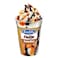 Kwality Fudge Sundae Cup Ice Cream, 220ml