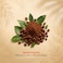 Carrefour Sensation 100% Arabica Ethiopia Ground Coffee, 250g