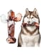 Dog Bone Chew Toys, Cactus Wishbone Shape, Beef Flavour, Large Size