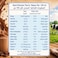 Lacnor Essentials UHT Low Fat Chocolate Milk, 180ml Pack of 8