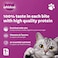 Whiskas Beef in Gravy Can Cat Food, 400g