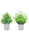 Aohellfe 2 Pieces Fake Potted Mini Artificial Plants, Indoor Home Green Decorations, Artificial Green Decorative Grass with White Planter for Home Office. (lilac+sweetgrass)