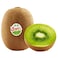 Kiwi Jumbo