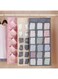 Generic Hanging Double-Sided Underwear &amp; Sock Organizer - Dual-Sided Closet Storage Bag With 30 Mesh Pockets - Space-Saving Bra, Briefs, And Accessory Hanger - Transparent