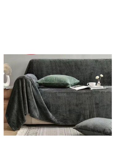 بطانية أريكة سميكة وناعمة من بايغ، مقاومة للغبار وخدوش القطط، بطانية أريكة متعددة الاستخدامات، منشفة أريكة لغرفة المعيشة وغرفة النوم والسرير والأريكة