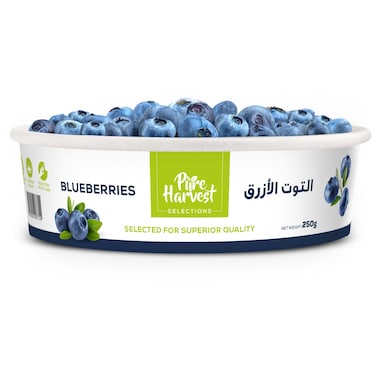 Blueberries Premium 250g