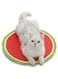 1pcs Cat Scratch Pad, Cat Play Horizontal Anti-Scratch Pad,Natural Durable sisal Cat Scratch Mats with Lanyard for Walls or Floors, Protects Carpets and Sofas