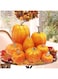 Pomefar Halloween Thanksgiving Decorations, 8 Pcs Artificial Pumpkins and 30 Pcs Maple Leaves, Fall Autumn Harvest Festival Home Decor