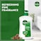 Dettol Original Liquid Handwash Pump, Pine Scent, 400ml