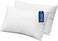 CRAFT&Acirc;&reg; Soft Cushion Fillers with Breathable Microfiber Filling - Set of 2 Cushion Inner Pads (16" X 24")