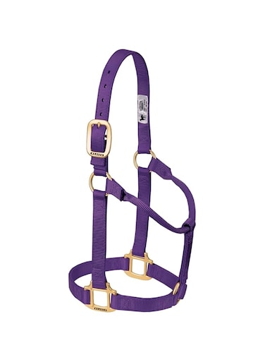 Weaver Leather Original Non-Adjustable Halter