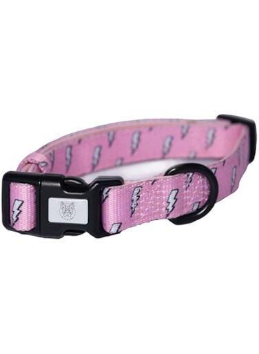 PICKLES - Feel The Thunder Collection Dog Collar for Small Medium Large Size Dogs with Adjustable Strap and Lightweight Material (Large)