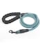 Durable Nylon Dog Leash with Padded Handle, Reflective Threads, for Small to Large Dogs (Blue)