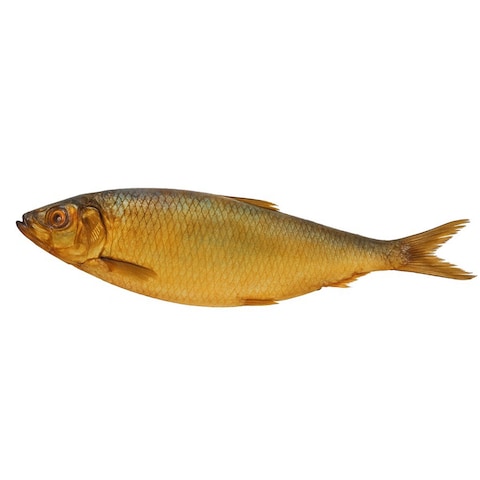 Smoked Herring (Renga)