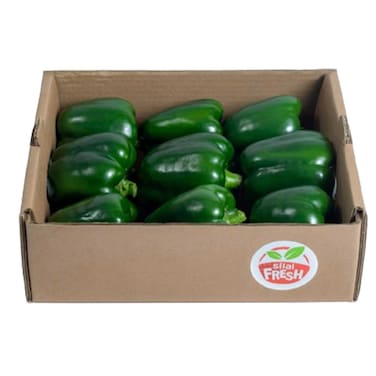 Capsicum Green Family Pack