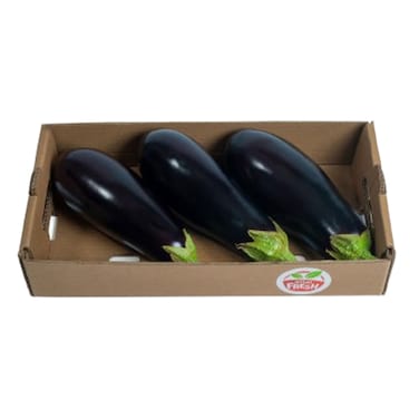 Eggplant Family Pack